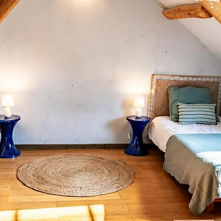 Grande Maison De Charme- 14 Pers- 1h Paris Vakantiehuis Gressey